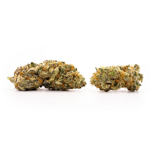 Tangie - Image 3