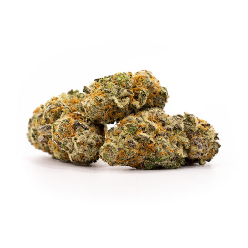 Tangie - Image 2