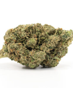 Violator Kush