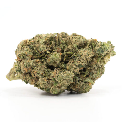 Violator Kush