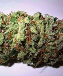 Buy Sweet Tooth
