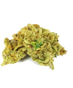 Candy Jack