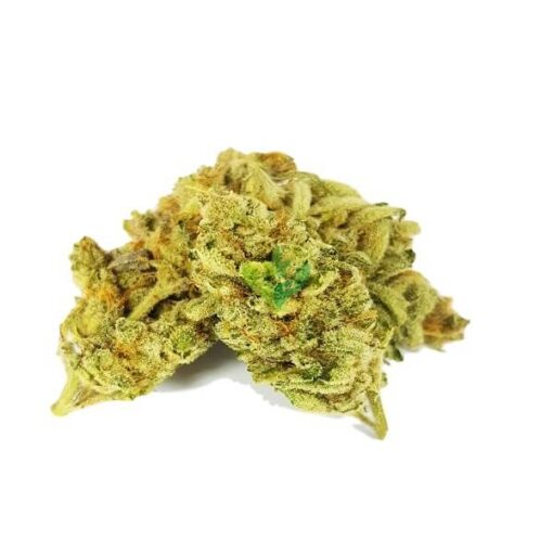 Candy Jack