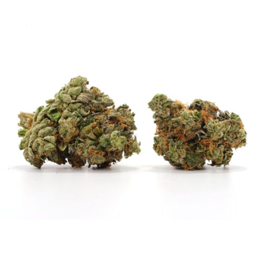 Couchlock - Image 3