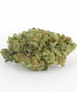 Buy Halo OG