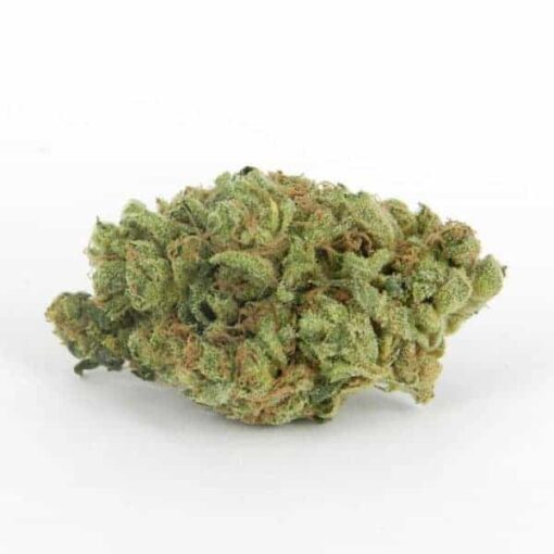 Buy Halo OG