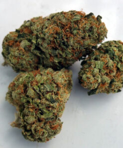 Buy Khalifa Kush