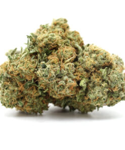 Lemon Meringue