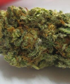 Buy Lavender
