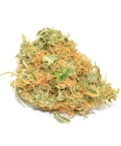 Organic Jack Herer