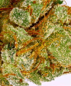 Buy King Louis XIII