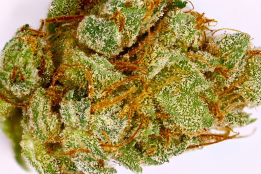 Buy King Louis XIII