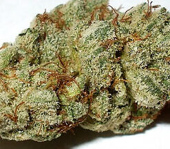 Buy Platinum Kush