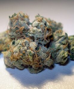 Buy Sensi Star