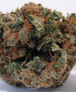 Buy Agent Orange