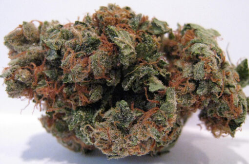 Buy Agent Orange