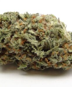 Buy Trainwreck