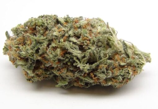 Buy Trainwreck