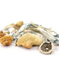 Buy Blue Meanies Magic Mushrooms